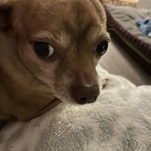 Meet your Posher, Sonia